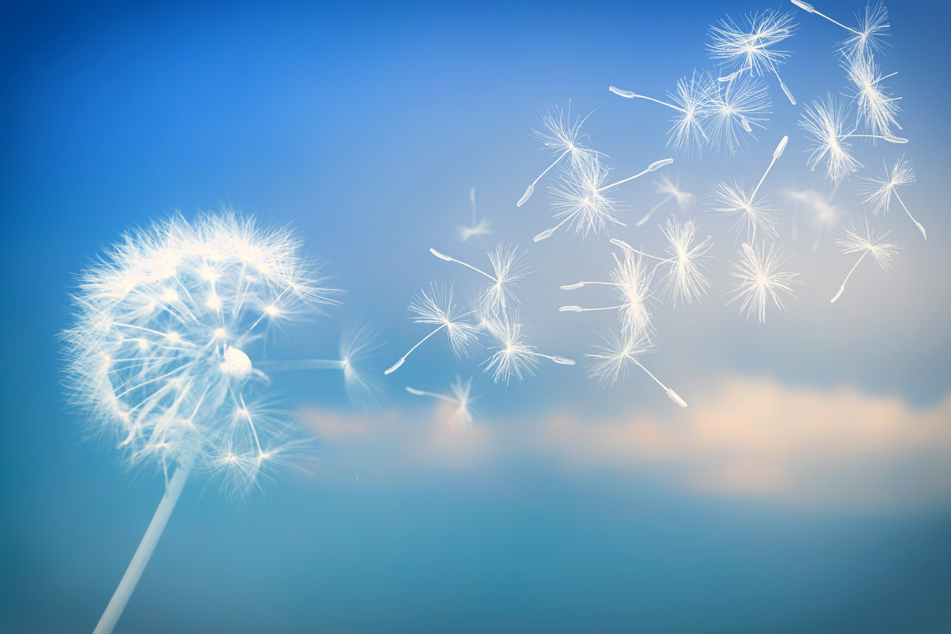 1667819530384455.jpg é?í?í?_501071143_banner_??1?󢣨?óòμéìó?£?.jpg